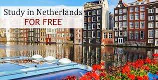 Study for Free in the Netherlands: Scholarships That Cover Everything