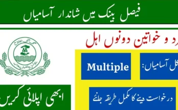 Faysal Bank 2025 Hiring Trends: Top Job Roles and How to Apply