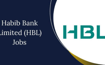 HBL Careers 2025: Top Positions and Skills Needed for Success