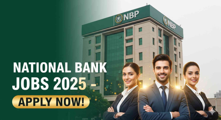 Explore Career Paths at NBP in 2025: Job Openings and Requirements