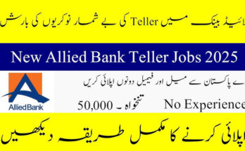 Working at Allied Bank: Career Pathways and Job Roles in 2025